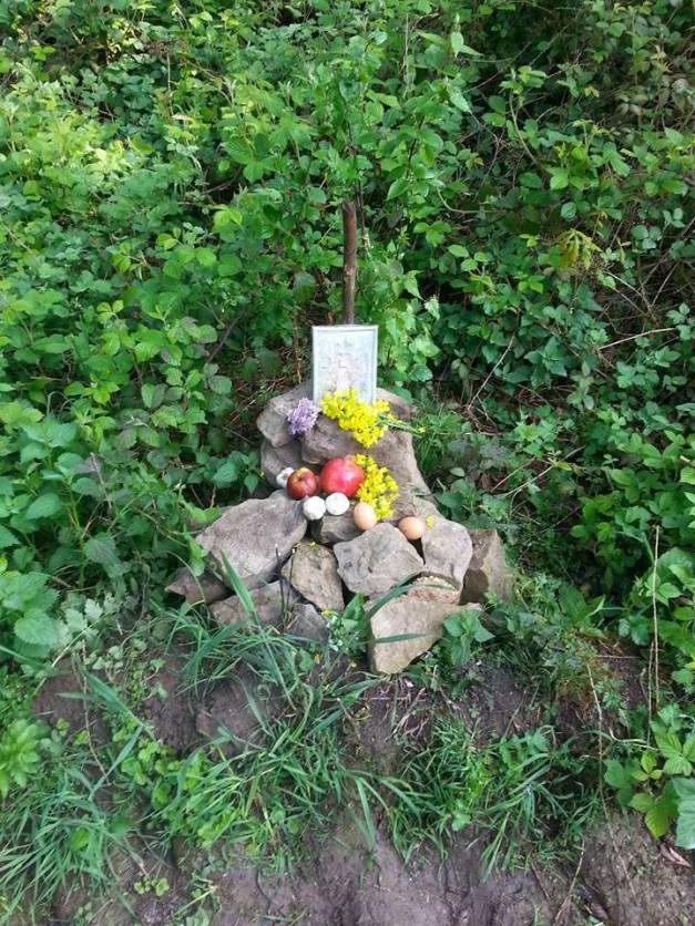 10298730_783844121635297_8543874453964681928_n